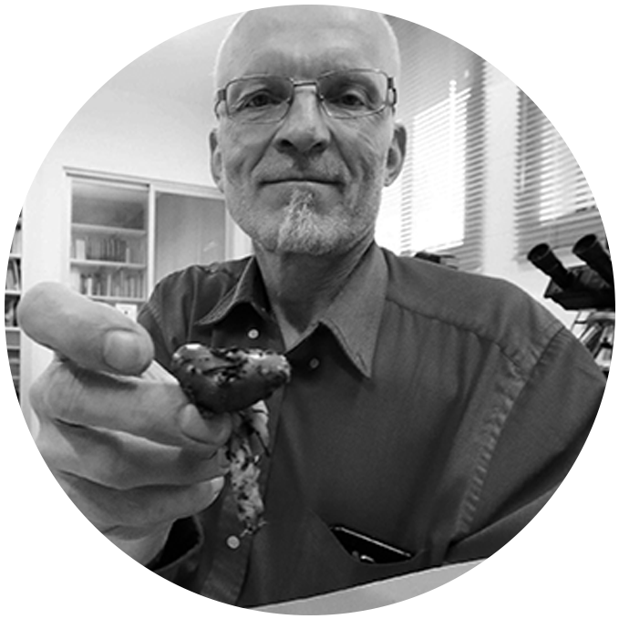 Fotografía profesor Götz Palfner